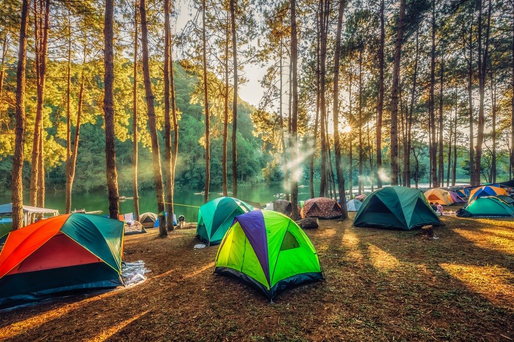 Tents on a campsite