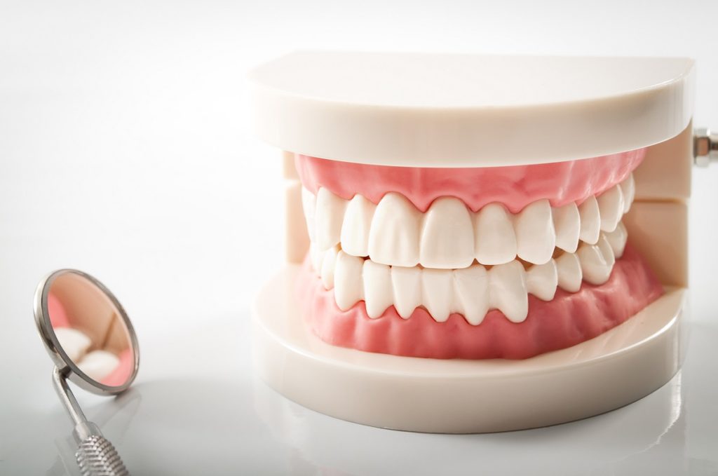 a teeth sample model and a magnifying glass