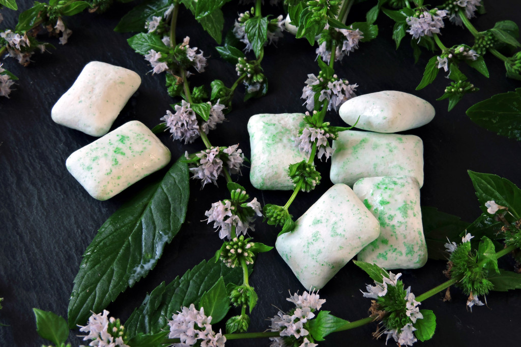 Mint chewing gum pads laid on mint leaves